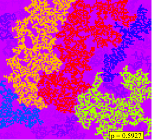 Lattice